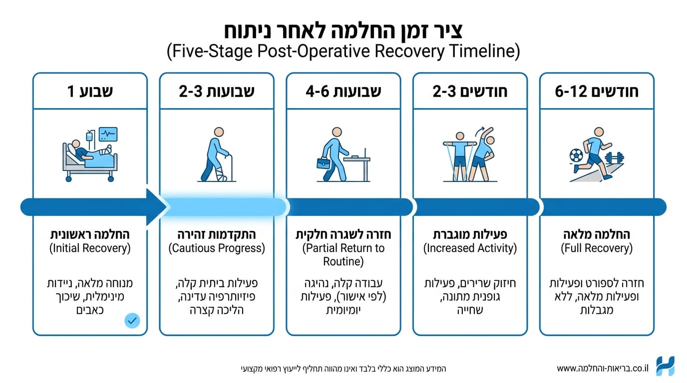 ציר זמן מלא של ההחלמה לאחר מתיחת בטן משולבת עם שאיבת שומן